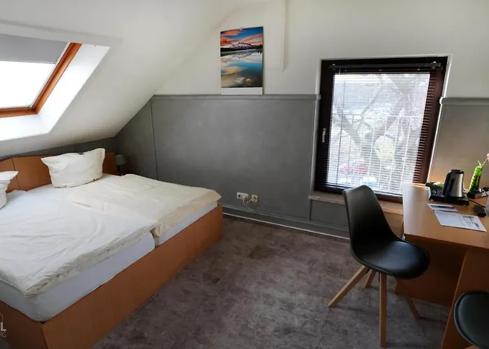 ホテル Cityhotel 3*